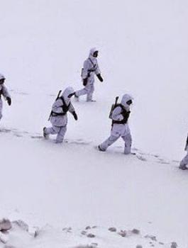 وحدة جبل الالب
