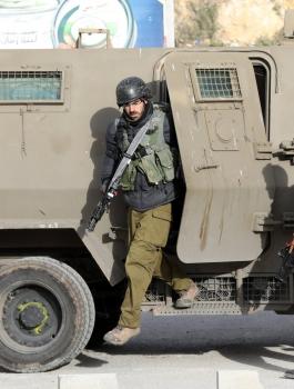 الذئب الازرق