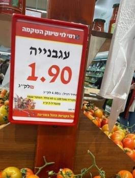 كيلو الطماطم