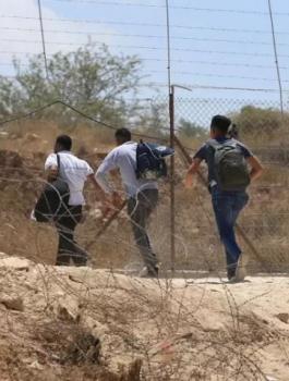 الجدار الفاصل