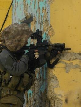 الجيش الاسرائيلي وجنين