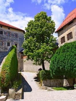 وزارة التربية