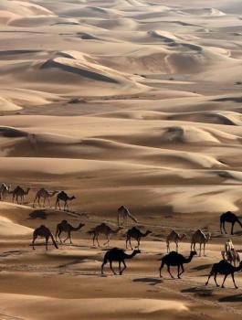 صحراء ابو ظبي