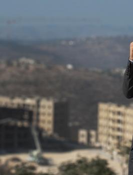 بشار المصري