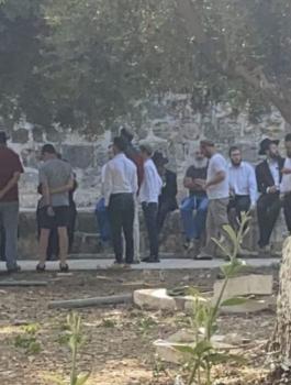 عشرات المستوطنين يقتحمون الاقصى