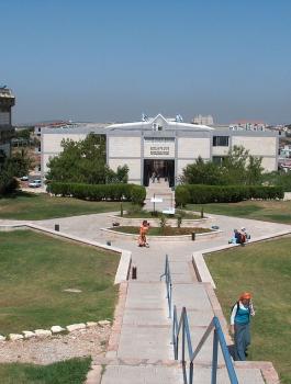 جامعة اريئيل