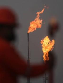 الغاز والكهرباء في هولندا