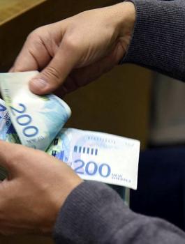 المعلم المبتدئ