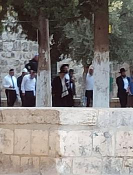 اقتحام المسجد الاقصى