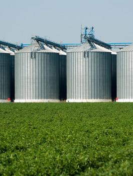 four-silos.jpg