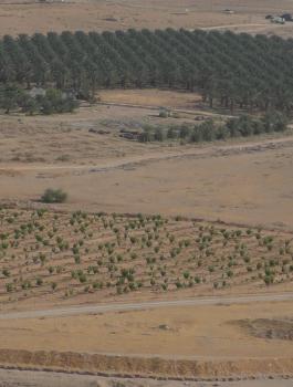 المستوطنون