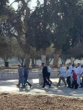 المستوطنين في الاقصى