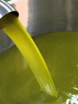 زيت الزيتون.jpg