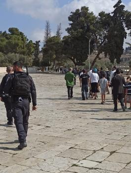 المستوطنين في الاقصى