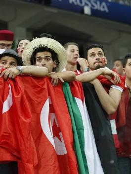 الجمهور التونسي وفلسطين