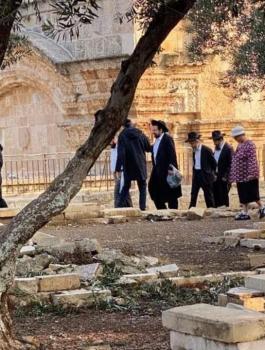 اقتحامات الاقصى