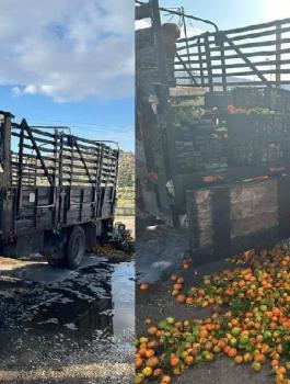 المستوطنون