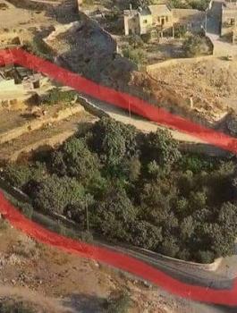 المستوطنون يستولون على قطعة ارض في سلوان