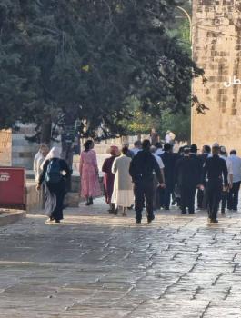 المستوطنين في الاقصى