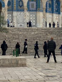 المستوطنين في الاقصى