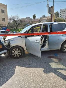 فصائل.jpg