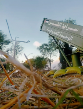 سرايا.png