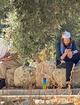 المستوطنين في الاقصى