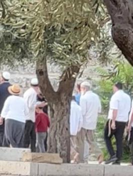 المستوطنين في الاقصى