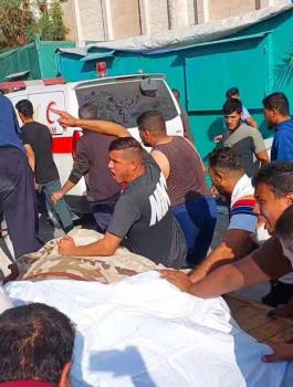 الشهداء في غزة