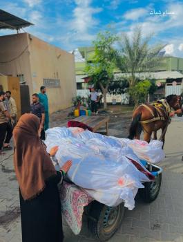 photo_2023-11-14_13-34-15 (2).jpg