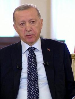 _129519115_erdoganill.jpg