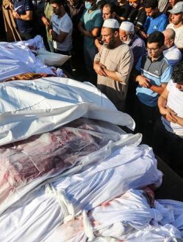 الشهداء في غزة