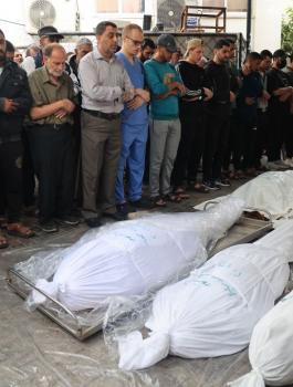 الشهداء في غزة