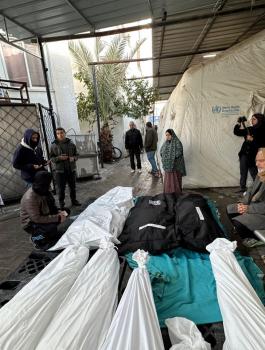 الشهداء في غزة