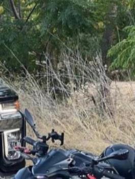 وفاة شاب في اريحا