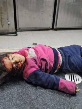 الشهداء في قطاع غزة