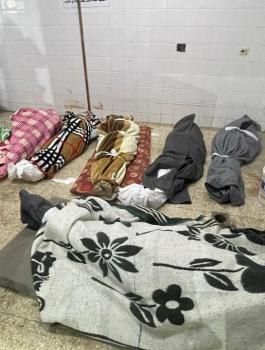 الشهداء في غزة