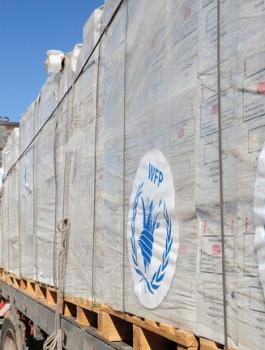 65c79c154c59b71fd34014e7 (1).jpg