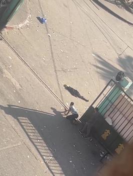 الشهداء في قطاع غزة