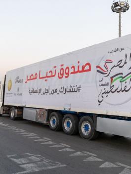 صندوق تحيا مصر