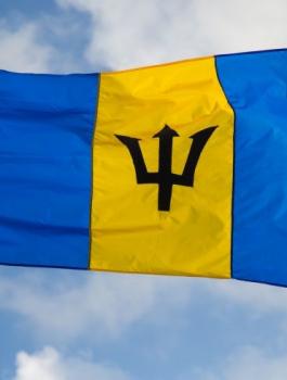 BarbadosFlag-FourOaks.jpg