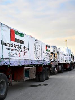 مساعدات اماراتية