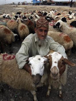 APTOPIX-Pakistan-Eid-al-Adha.jpg