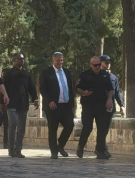التقاط.PNG