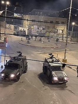 بيتونيا.jpg-a0984e2b-60de-4e0b-aeed-7a9535571137.jpg