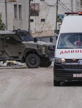 WafaImage (13).jfif-dbd2002c-196d-4e98-83e0-c3f0f16ab395.jpg