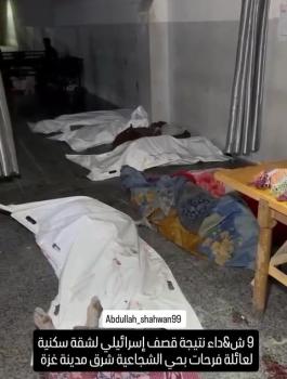 WhatsApp Video 2024-10-09 at 2.49.45 AM_000028.jpg