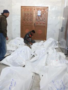 WafaImage (4).jfif-53041575-9515-4e69-9b76-d4dc1920e2fa.jpg