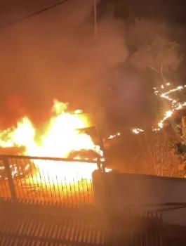 WhatsApp Video 2024-11-20 at 5.00.57 AM_000002.jpg