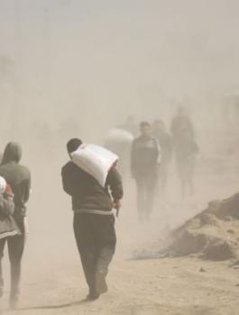 شُح في توفر الطحين وارتفاع أسعاره شمال غزة.jpg-9d651ec4-ef6b-4015-a0c0-5b51b093aed6.jpg